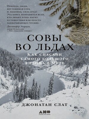 cover image of Совы во льдах